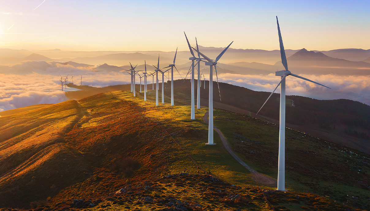 Sustainability