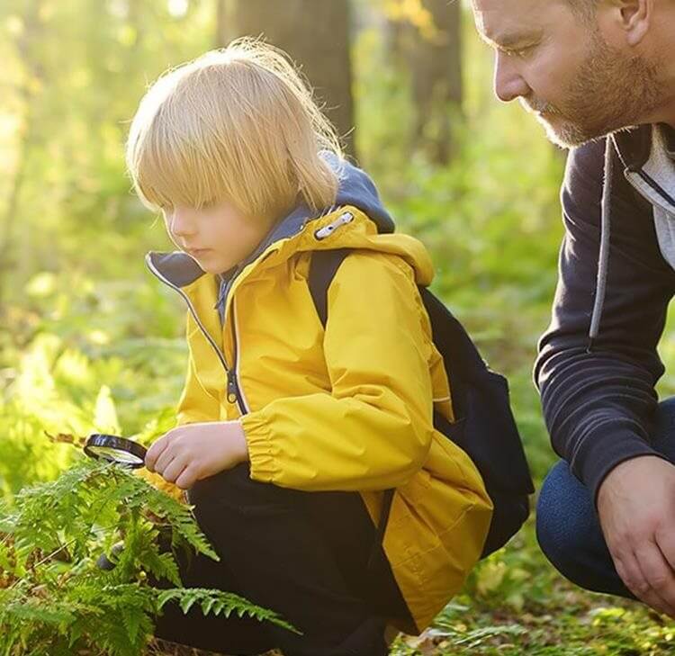 Local nature recovery strategies: How can they contribute to nature recovery and what are local authorities required to do?