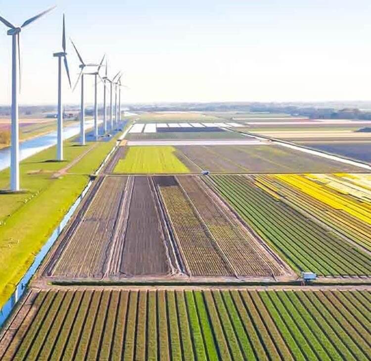 Majority of UK organisations remain committed to sustainability and ESG, says new research  