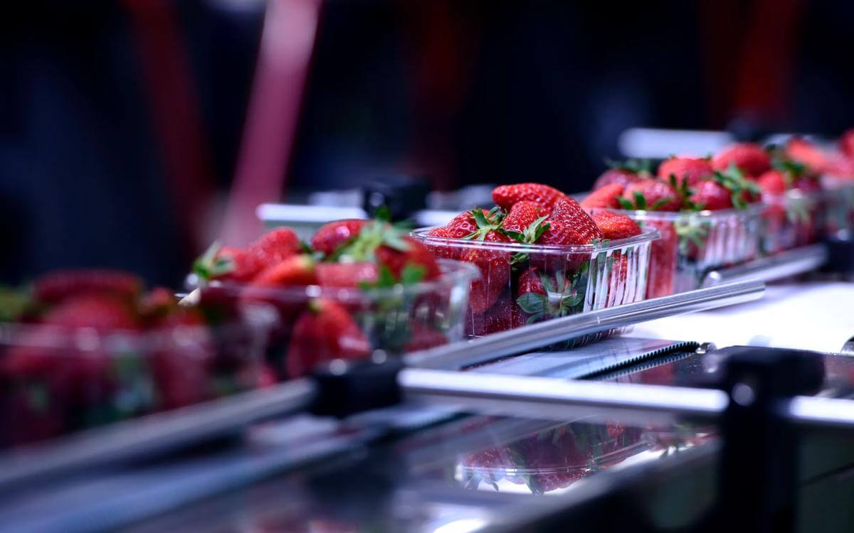 Navigating contamination in the food and drink sector