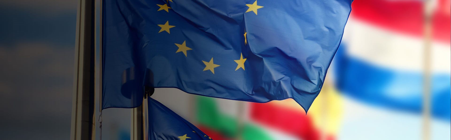 Image of European Union flag